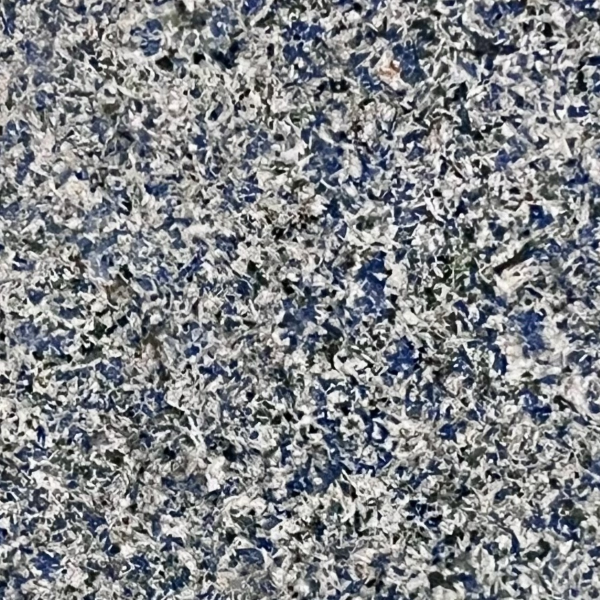 BLUE KING - VALLMAR