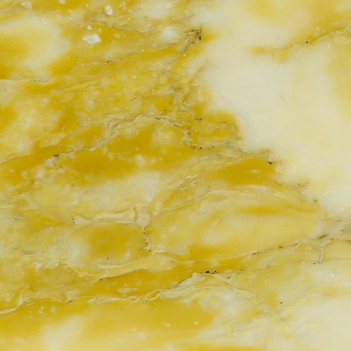 GIALLO SIENA - VALLMAR