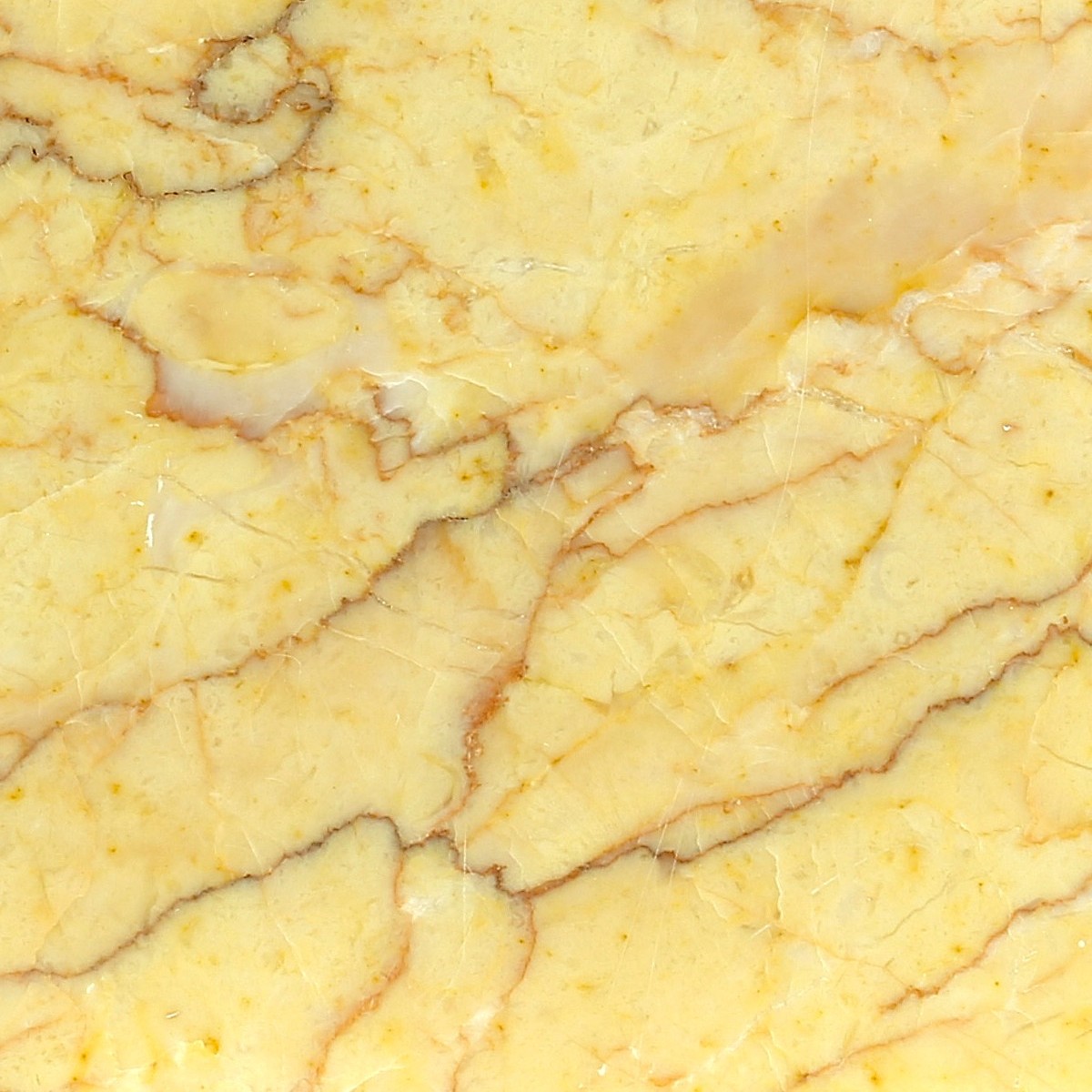 GIALLO VALENCIA - VALLMAR