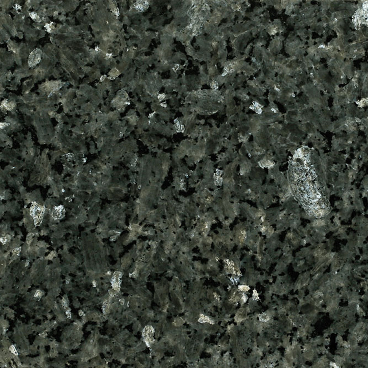 LABRADOR AZZURRO - VALLMAR