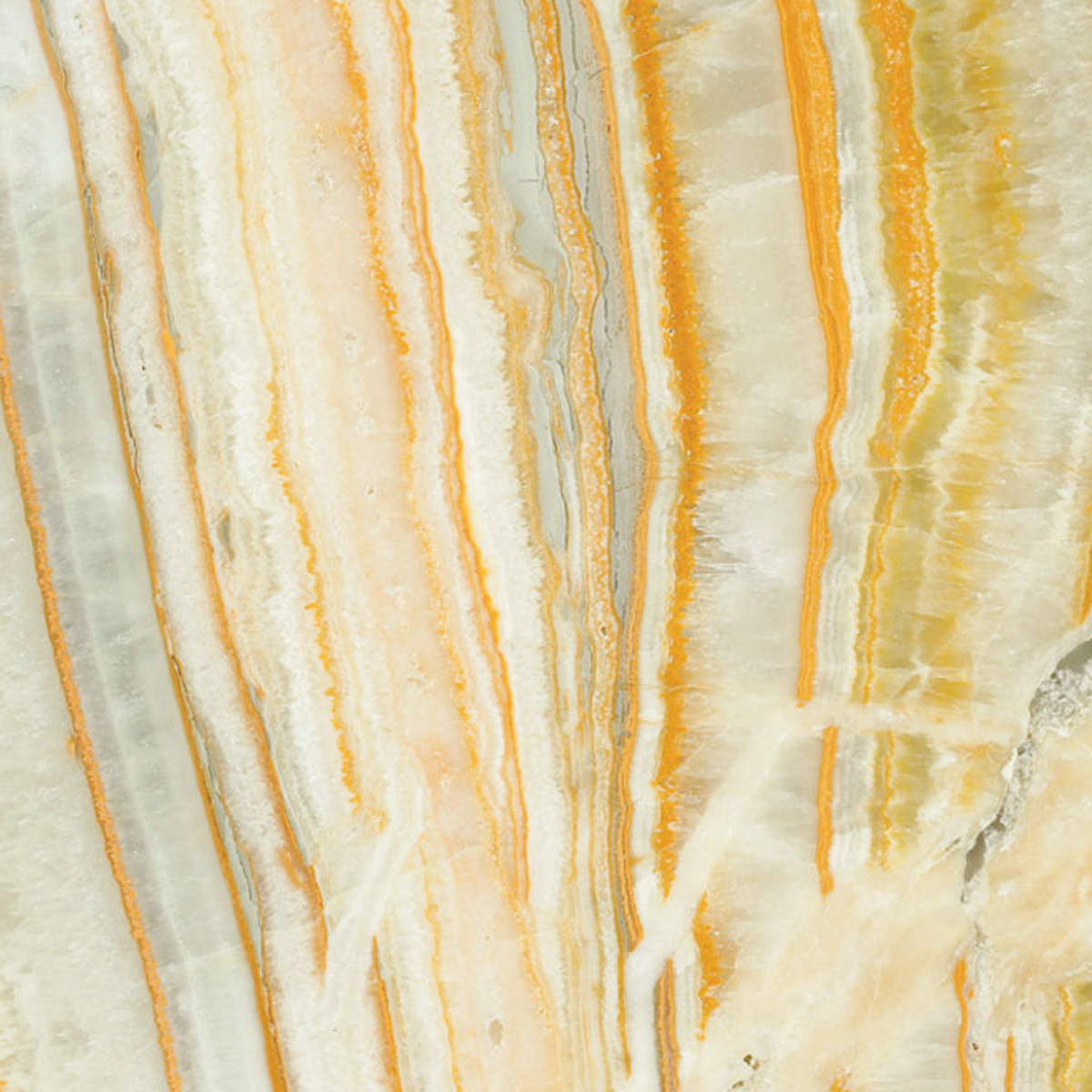 ONICE ORANGE - VALLMAR