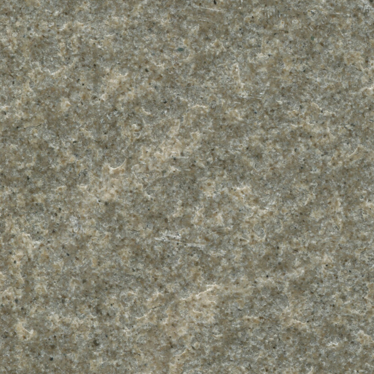 PIASENTINA SPAZZOLATA - VALLMAR