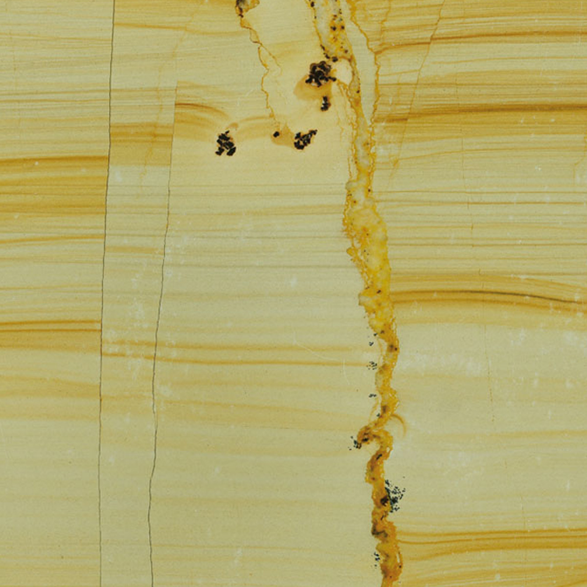 TEAK WOOD - VALLMAR