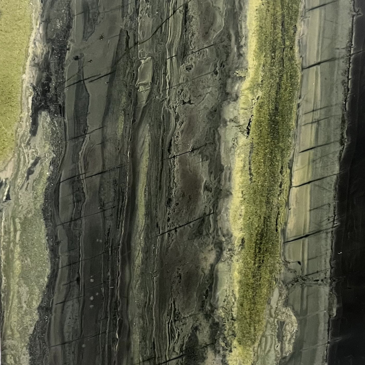 VERDE BAMBOO - VALLMAR