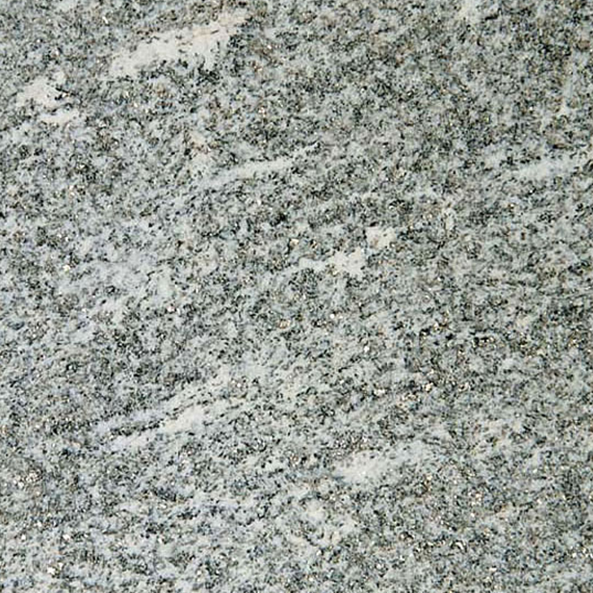 BEOLA ARGENTATA - VALLMAR