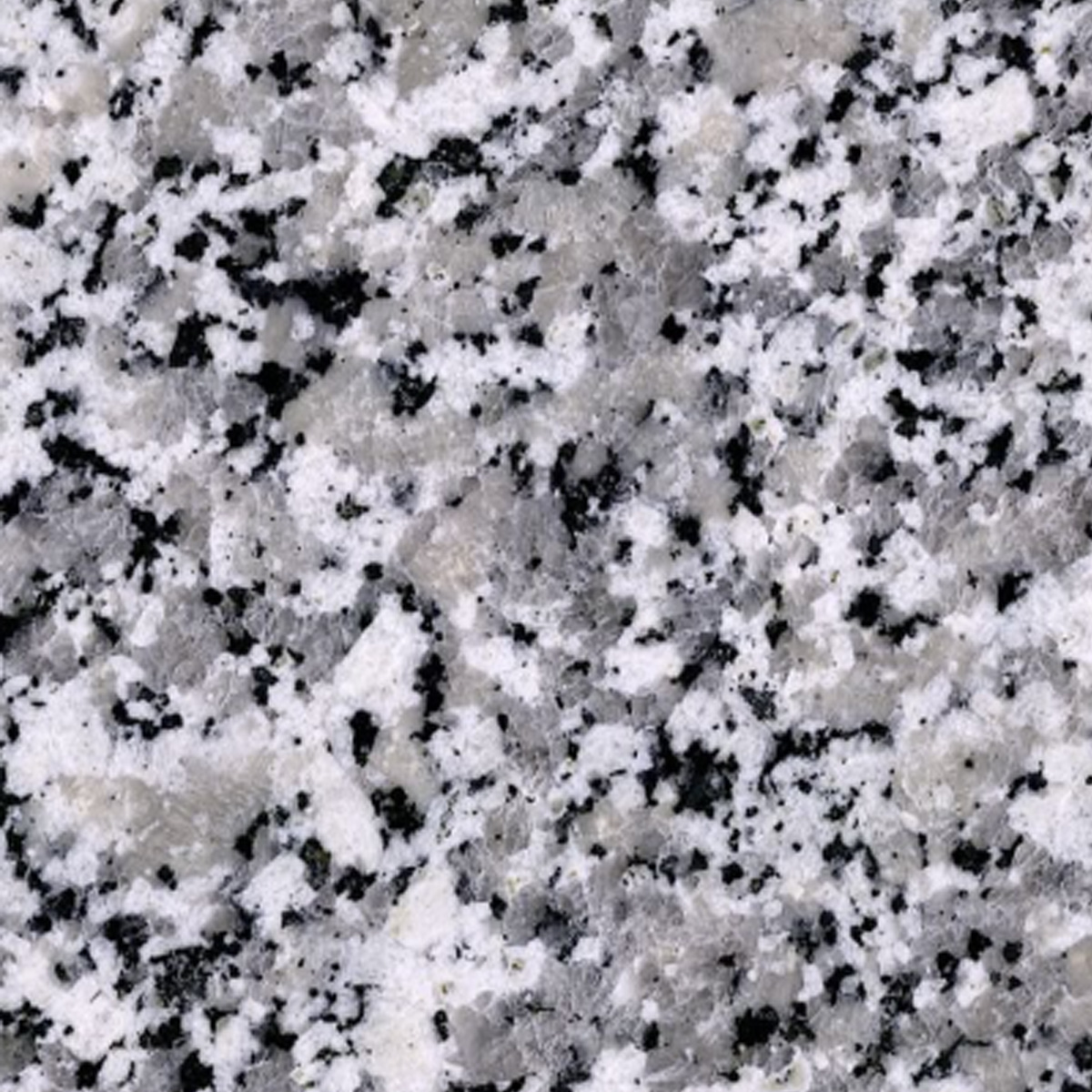 BIANCO SARDO - VALLMAR