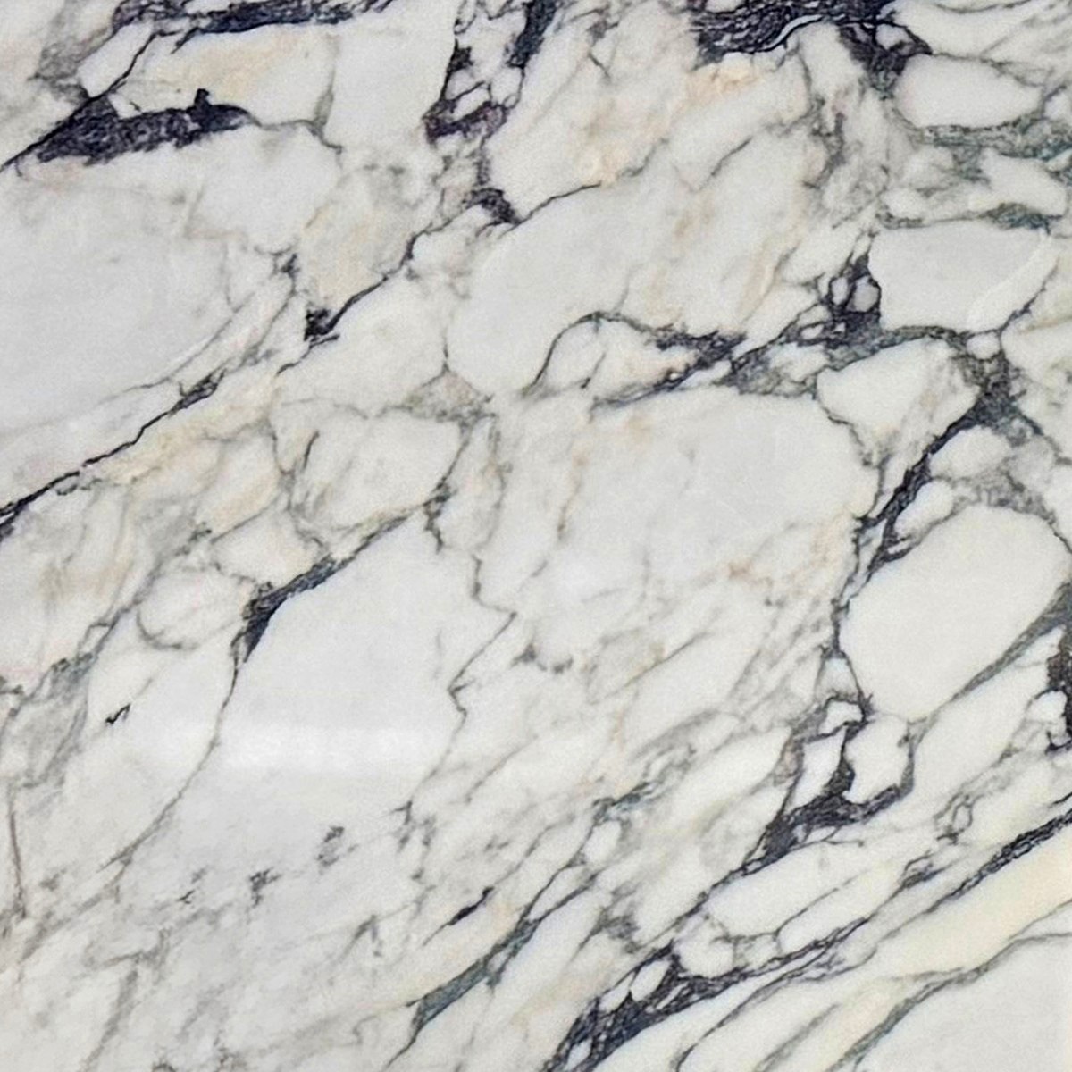 BRECCIA CAPRAIA - VALLMAR