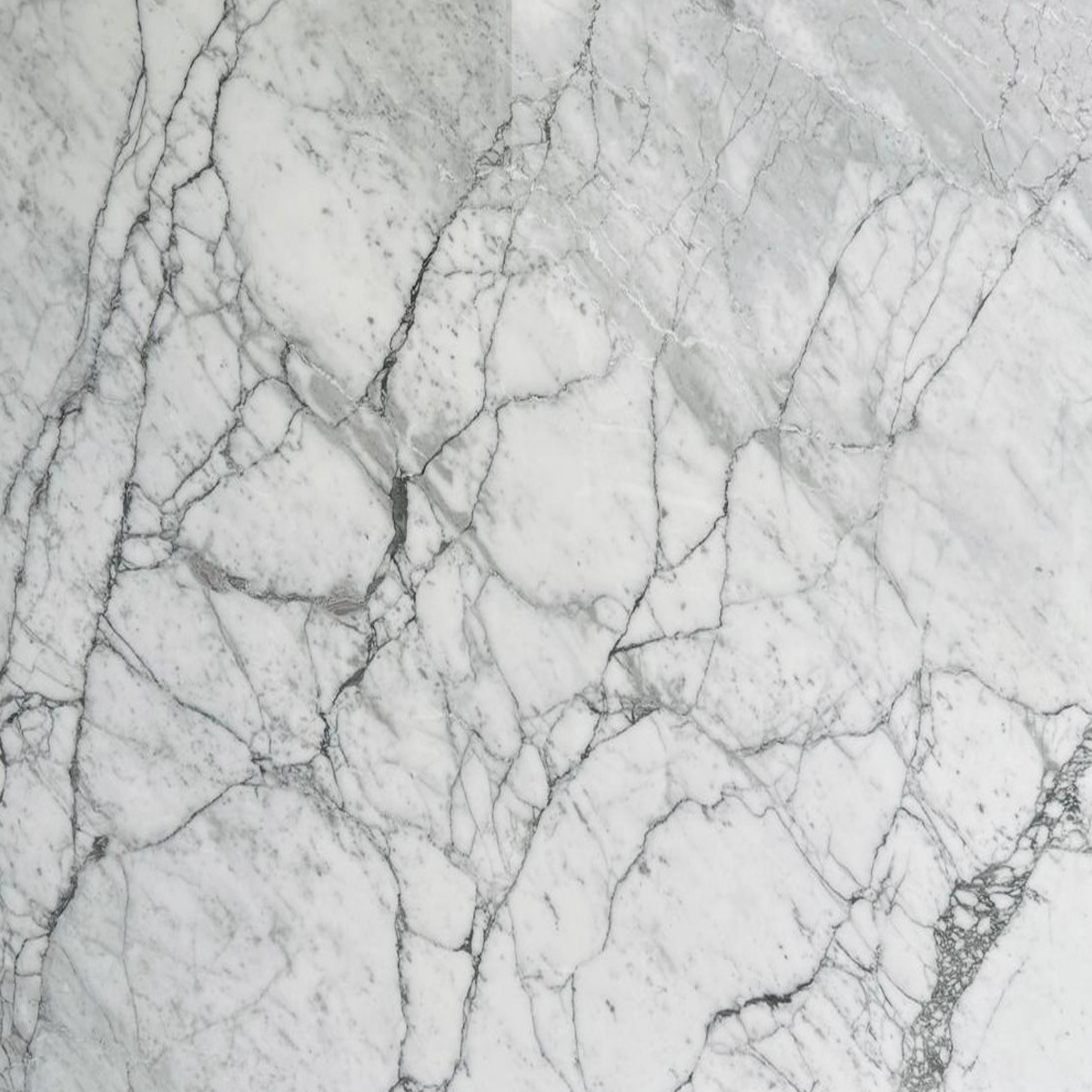 CALACATTA GRIGIO - VALLMR
