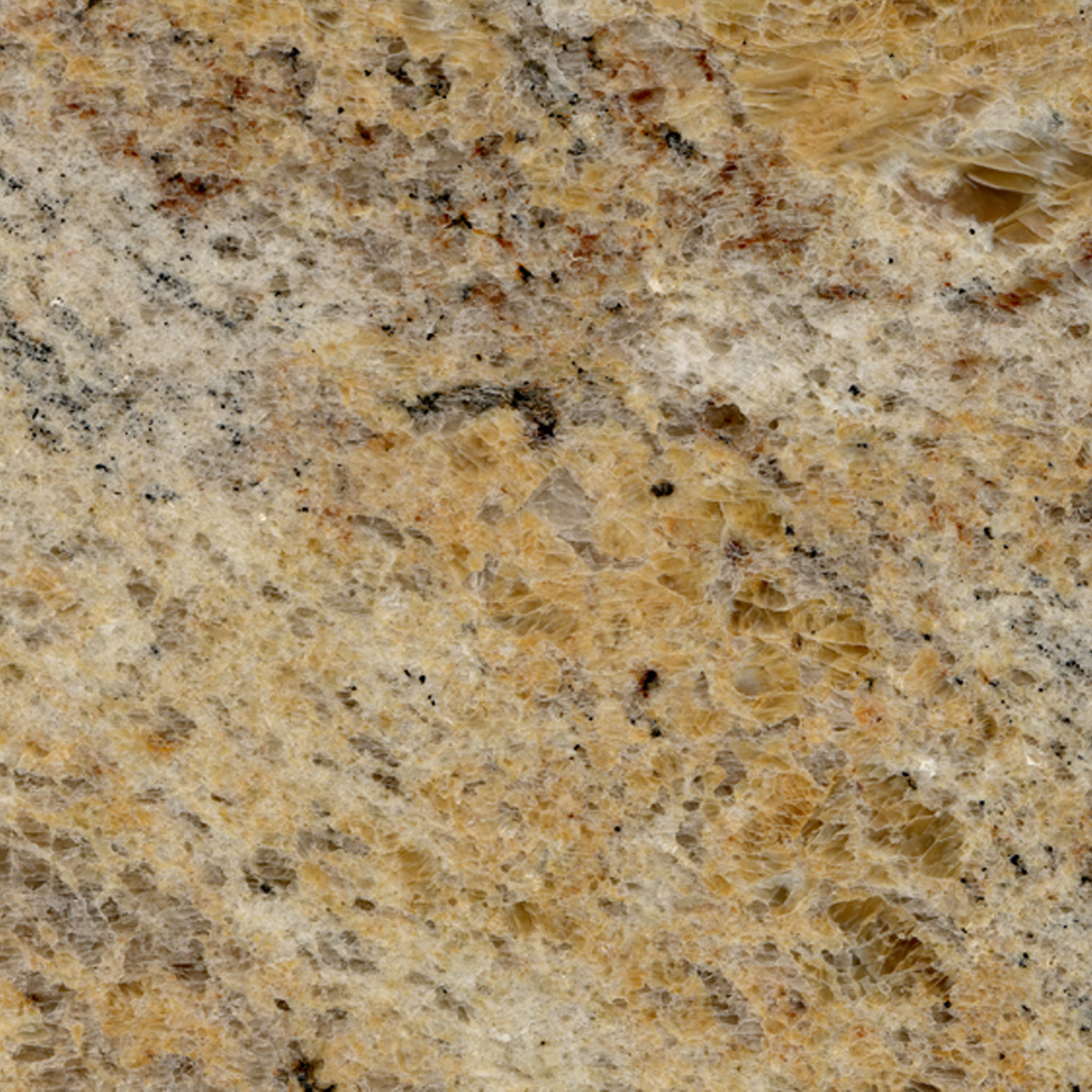 IVORY SILK - VALLMAR
