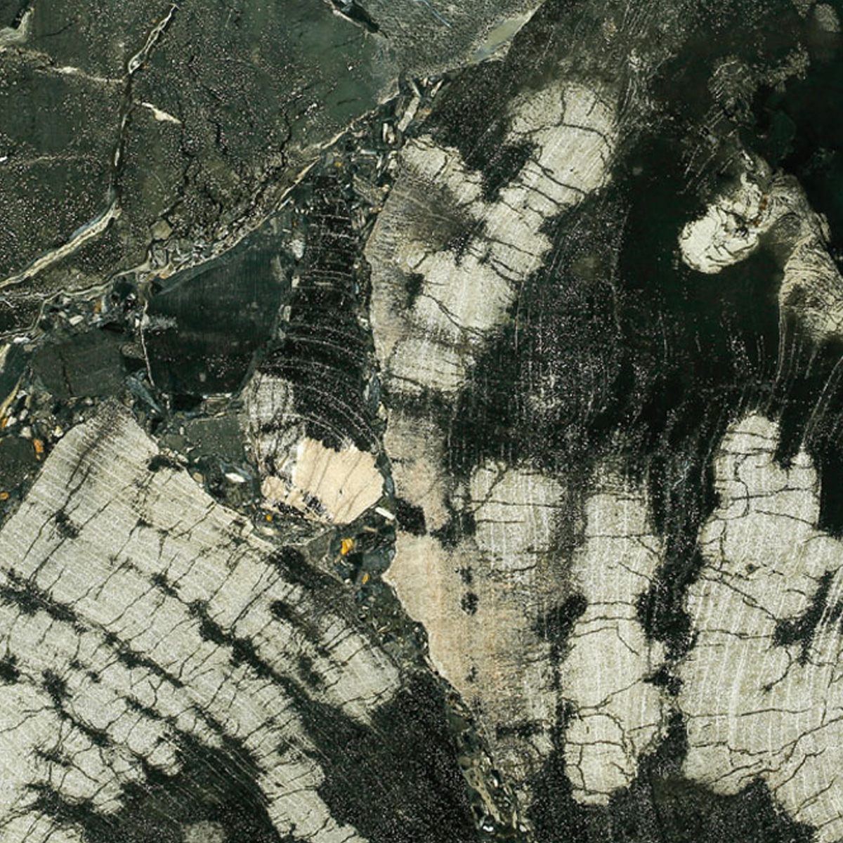 BLACK PIETRIFIC WOOD - VALLMAR